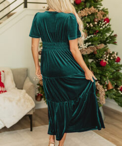 Alternative view of Evergreen Velvet Short Sleeve Shirred Waist Tiered Maxi Dress